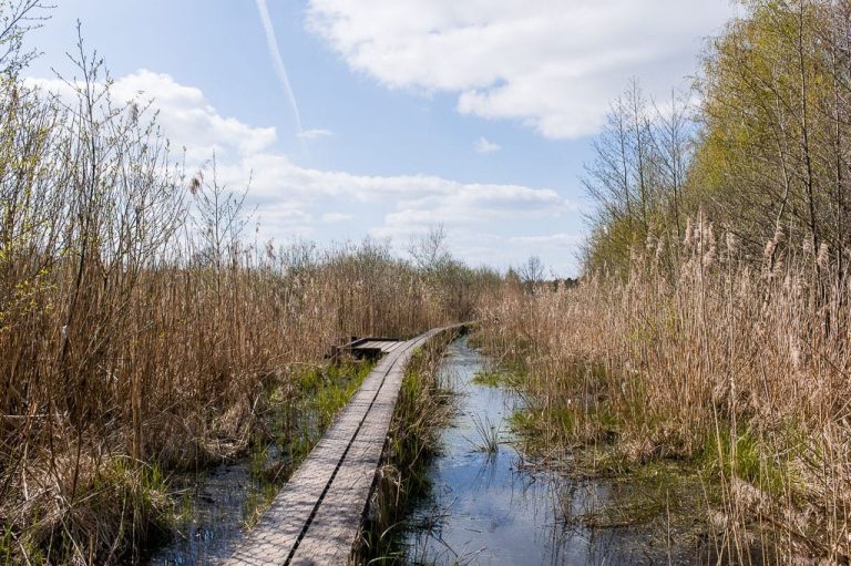 Walking in the Achterhoek: the most beautiful nature reserves