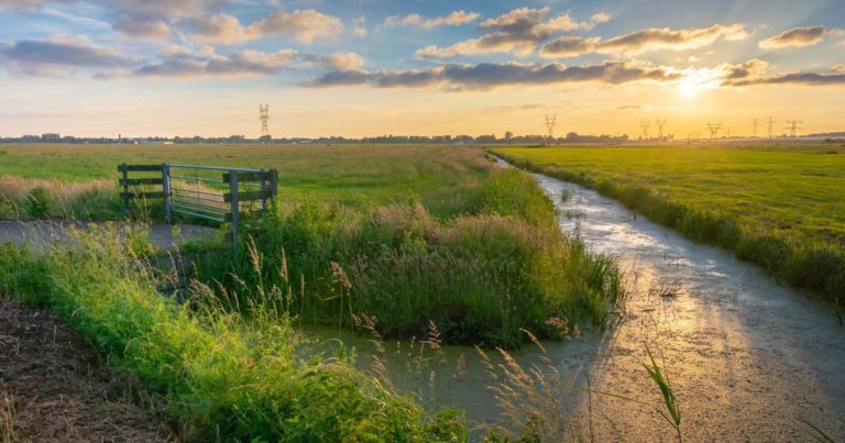 Cycling holiday Dutch Water Landscape – Utrecht and Groene Hart