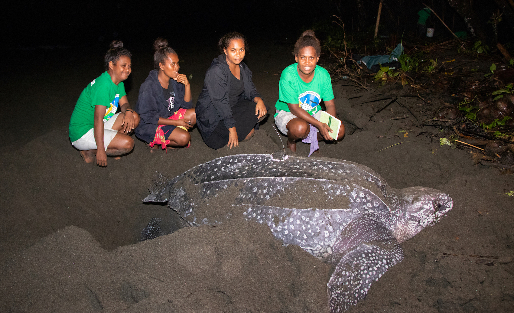 Women Lead Leatherback Conservation in the Solomon Islands